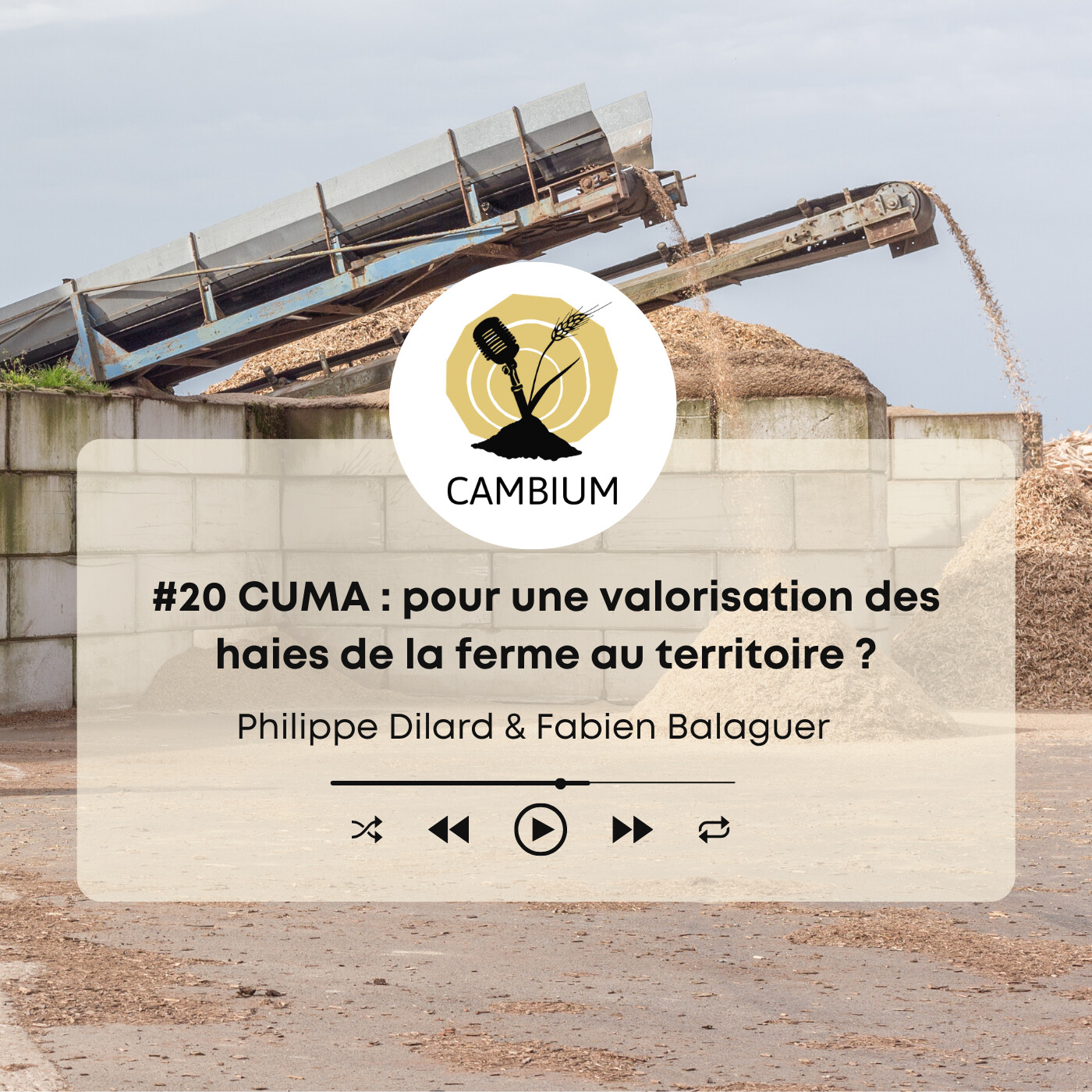 #20 - CUMA : pour une valorisation des haies de la ferme au territoire ? episode artwork