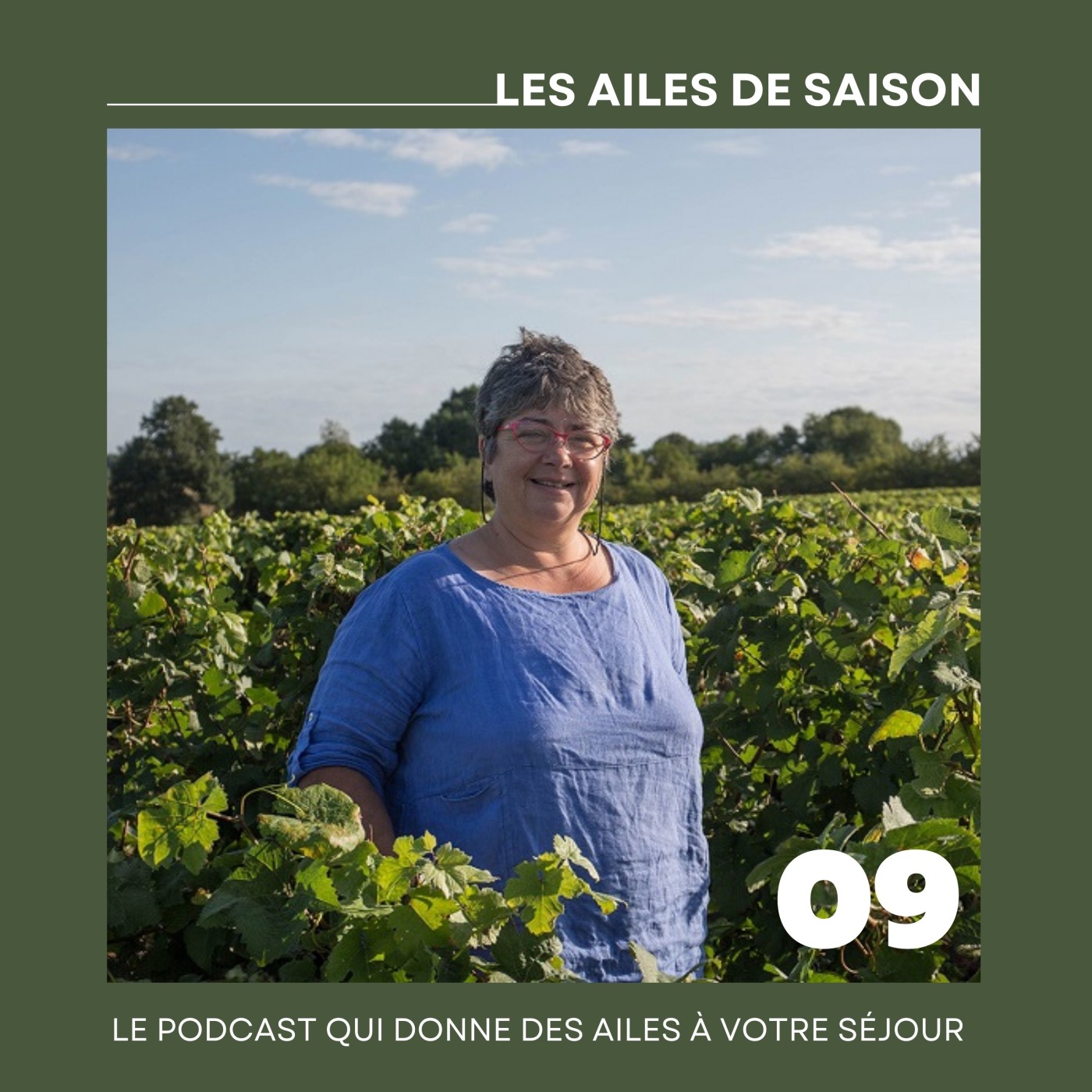 Les ailes de saison