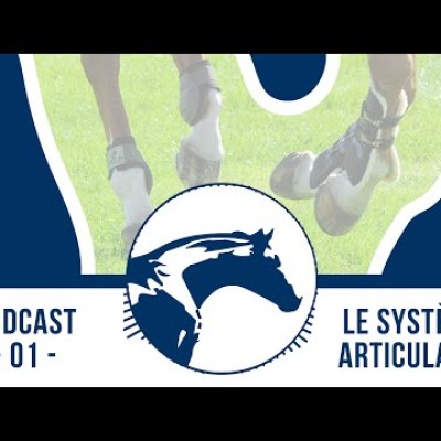 🎙 Podcast by Reverdy #1 | Articulations du cheval cover