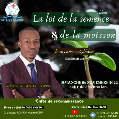 E.E.V-Cité de Gloire: La loi de la semence et de la moisson cover