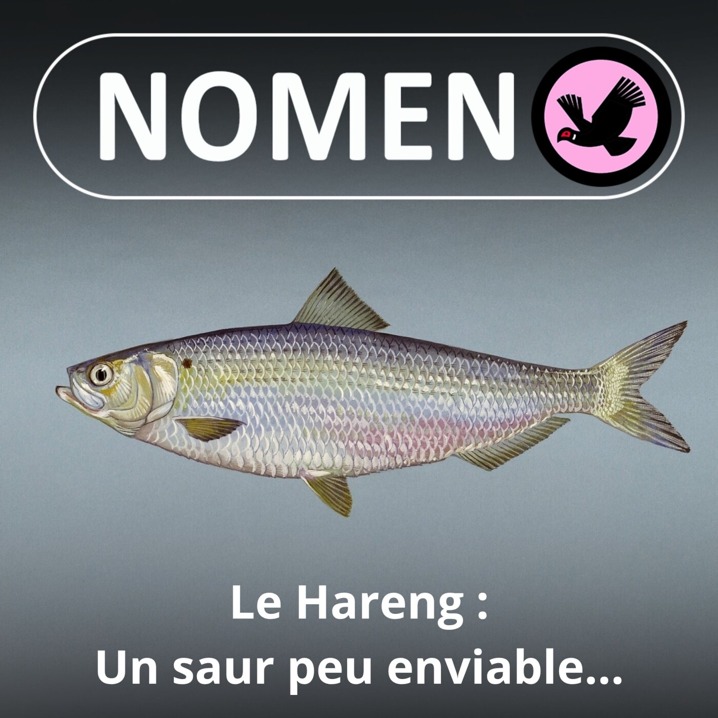 Nomen