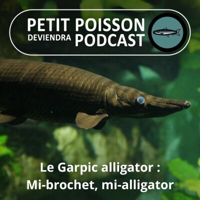 Show cover