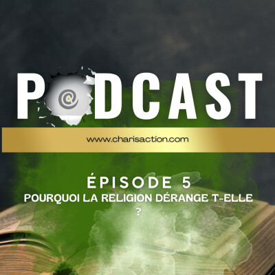 POURQUOI LA RÉLIGION DÉRANGE T- ELLE ? cover