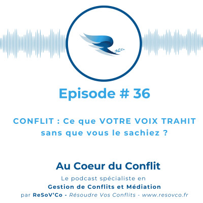 36. CONFLIT : Ce que VOTRE VOIX TRAHIT sans que vous le sachiez ? cover