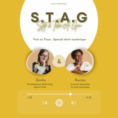 07 - Vrai ou Faux : Spécial droit numérique ! - Avec Karine cover