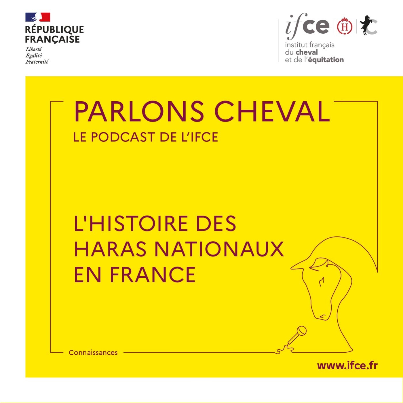 Ép. 90 | L'histoire des Haras Nationaux en France - Chloé Muzelet-Guédon