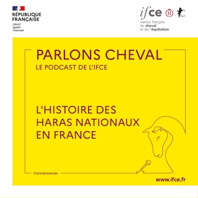 Ép. 90 | L'histoire des Haras Nationaux en France - Chloé Muzelet-Guédon cover