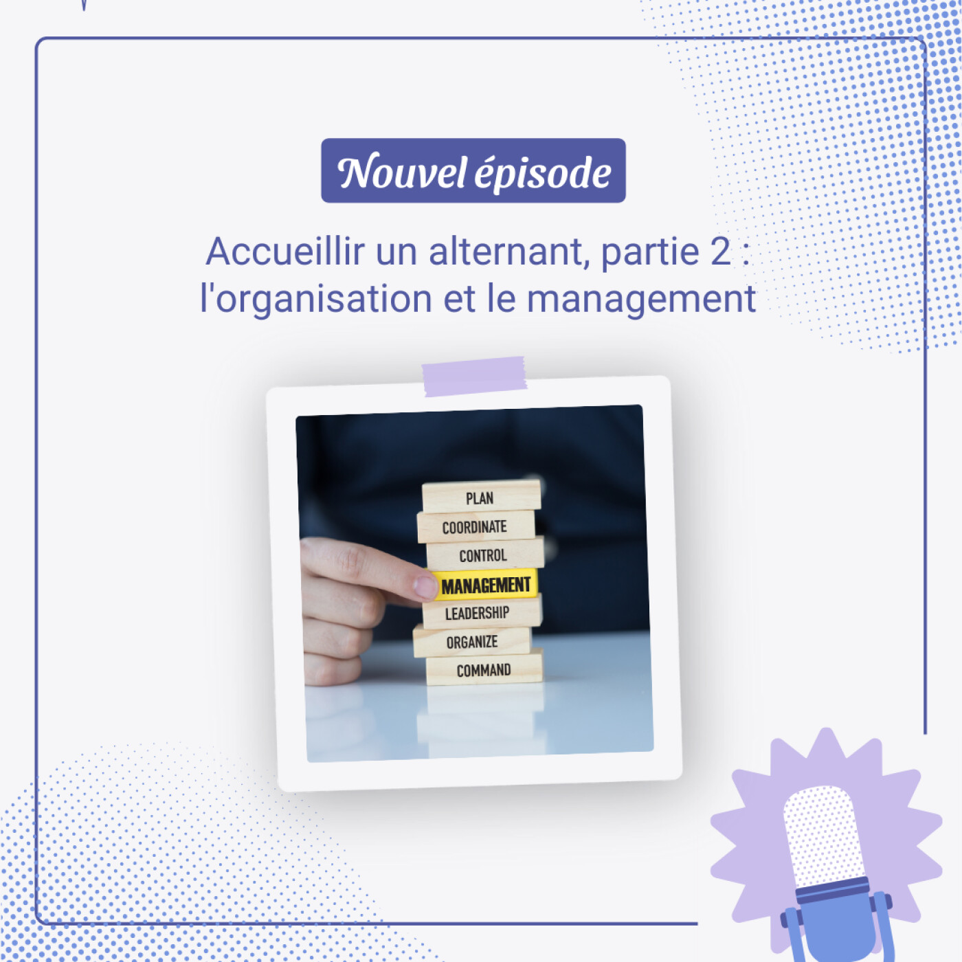 Alternance #2 : organisation et management