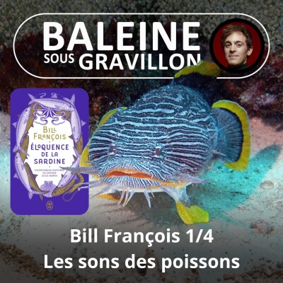 S03E10 L'éloquence de la Sardine 1/4 : Les pleurs de la baleine "52 Herz" (Bill François) cover
