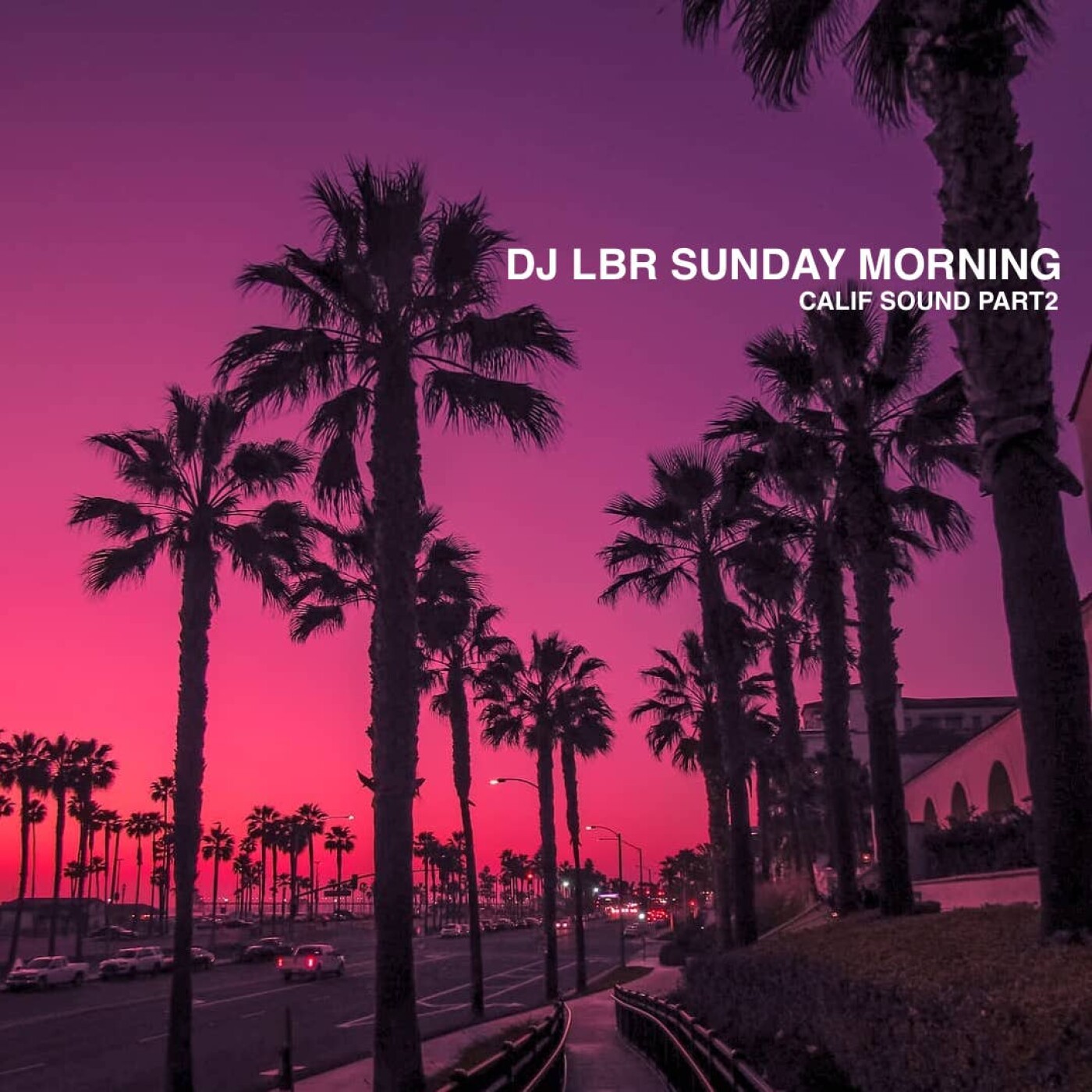 DJ LBR - THE OFFICIAL PODCAST