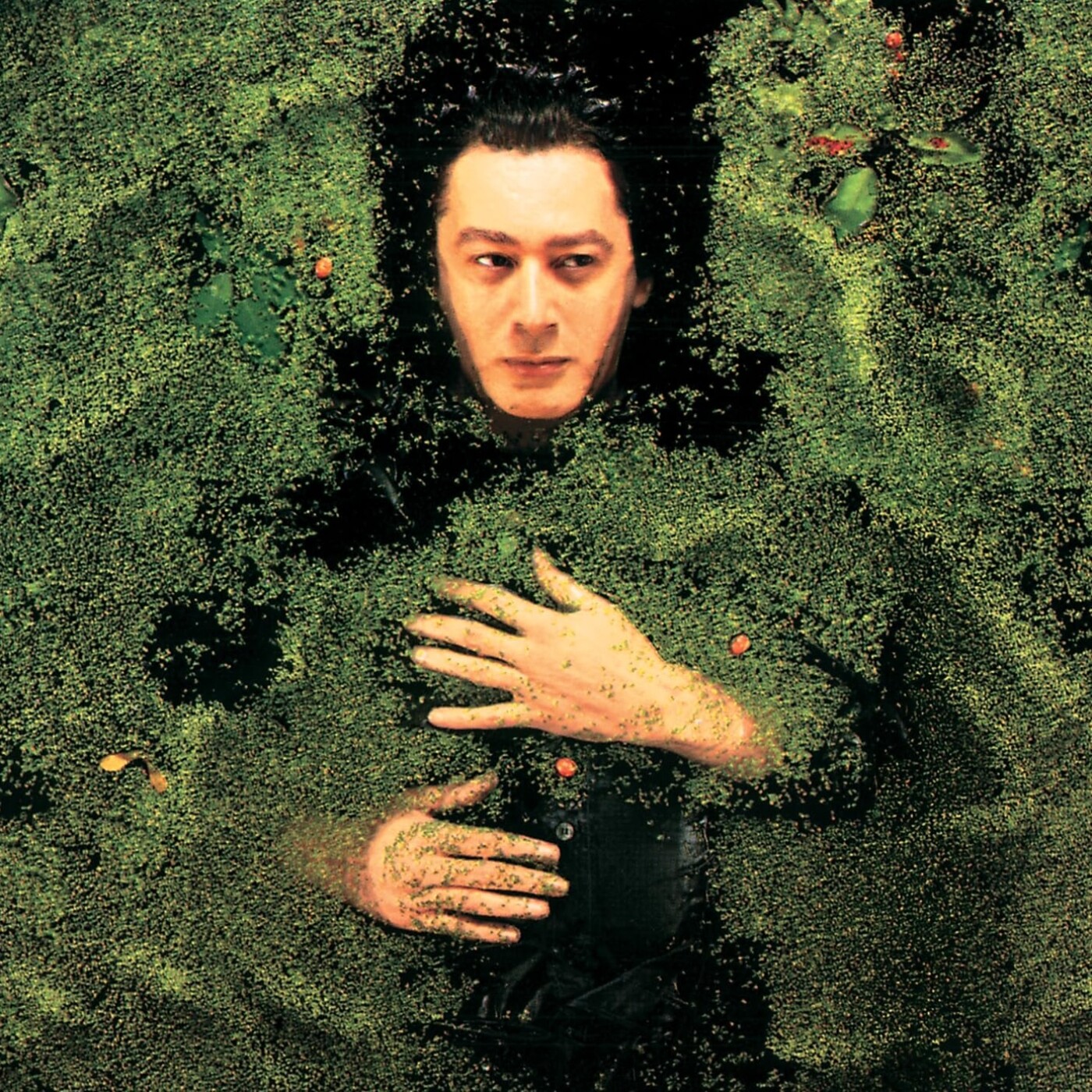 Alain Bashung, épisode 7 : Fantaisie Militaire (1998) episode artwork
