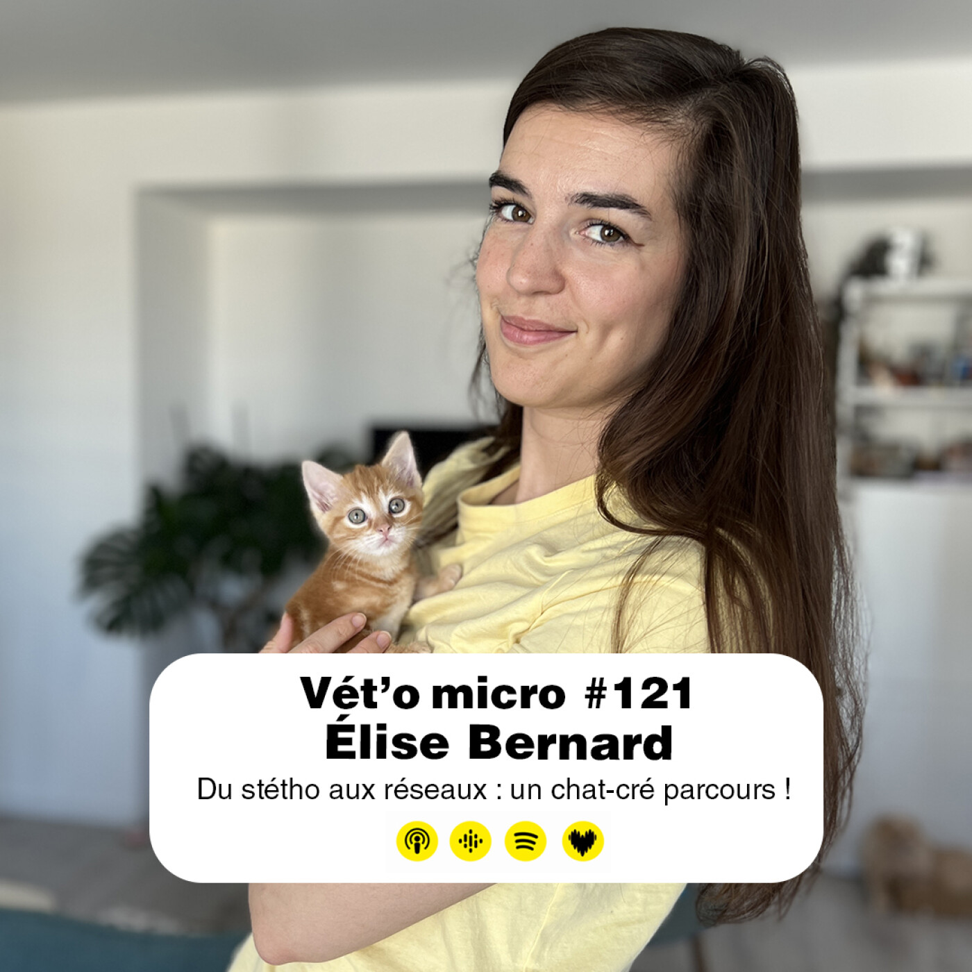 Épisode #121 - Élise Bernard : Du stétho aux réseaux : un chat-cré parcours !
