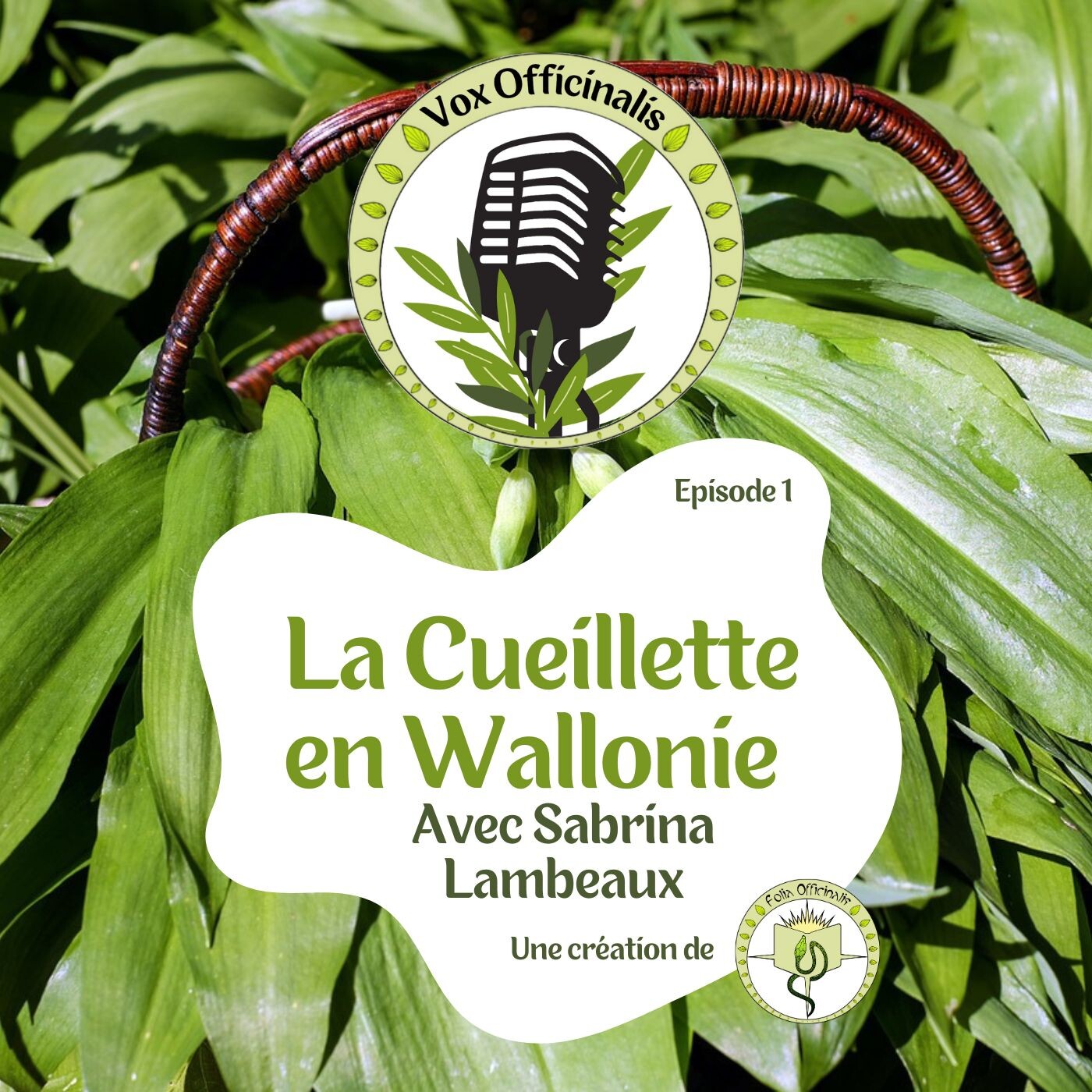 La cueillette en Wallonie avec Sabrina (S01-E01) episode artwork