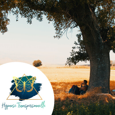 Hypnose Transpersonnelle®252 : Enfant abusé, Homme sauvage, Affirmation cover