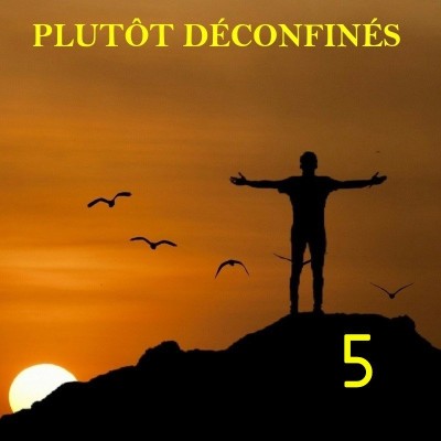 Plutôt Déconfinés : JOUR 38 cover