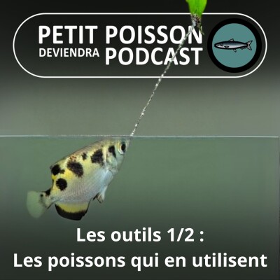 S01E32 Les outils 1/2 : Les poissons AUSSI utilisent des outils ! cover