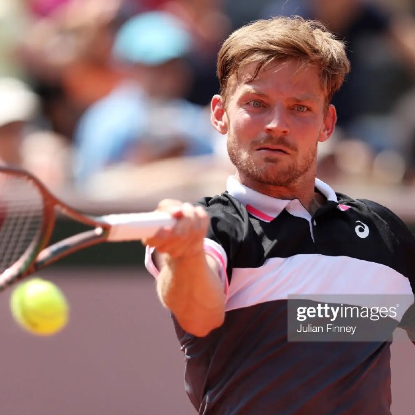 Roland-Garros épisode 7: les réactions de David Goffin, de ses coachs et celle d'Élise Mertens