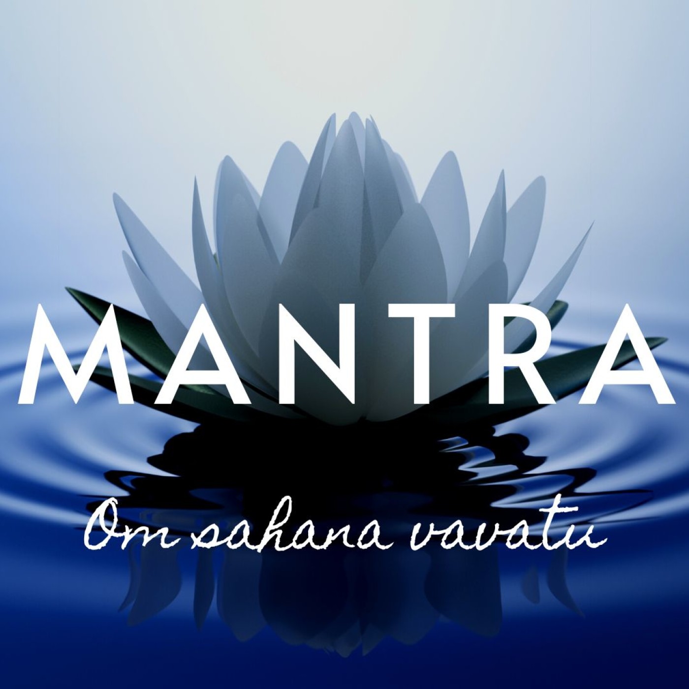 LA VOIE DU YOGA