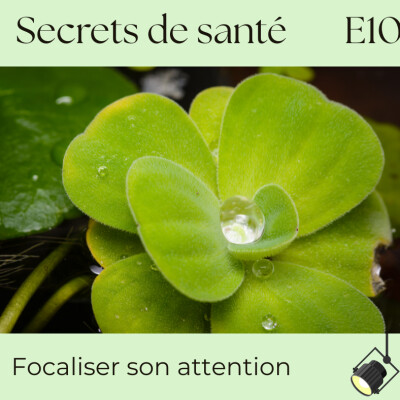 Focaliser son attention : apaiser le mental & revenir au présent - S7E10 cover