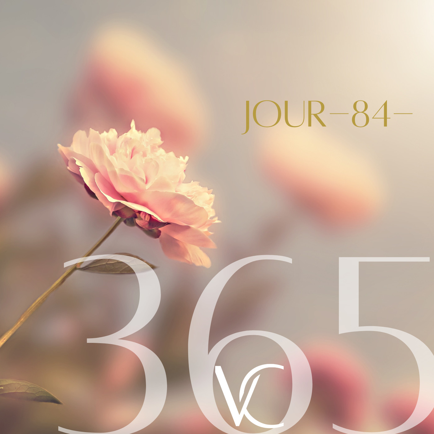 LIVE 365 by Valérie Carchi