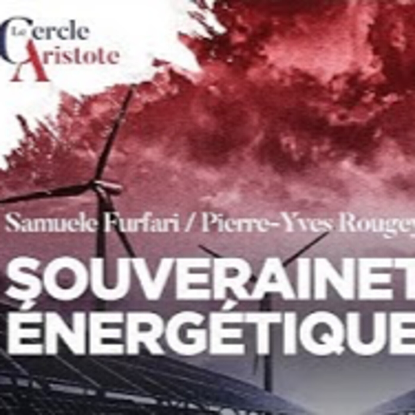 L'utopie hydrogène et la folie énergétique allemande - S. Furfari - # politique episode artwork