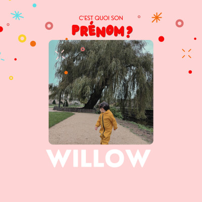 Willow ou l'arbre qui a vu naître leur histoire d'amour cover