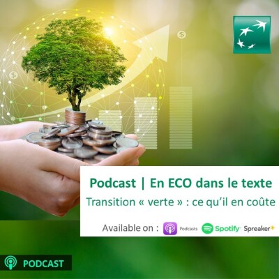 Transition "Verte" : ce qu'il en coûte cover