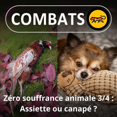 S01E81 Zéro Souffrance animale 3/4 : Abandonnés, exhibés pour frimer, chassés ... Yolaine de la Bigne (journaliste, auteure) cover