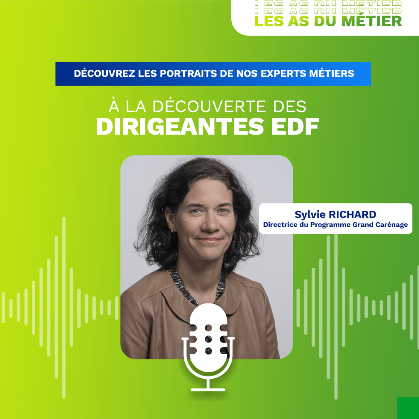 Les As du métier