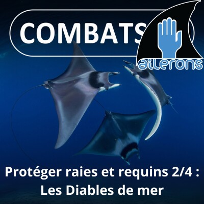 Show cover