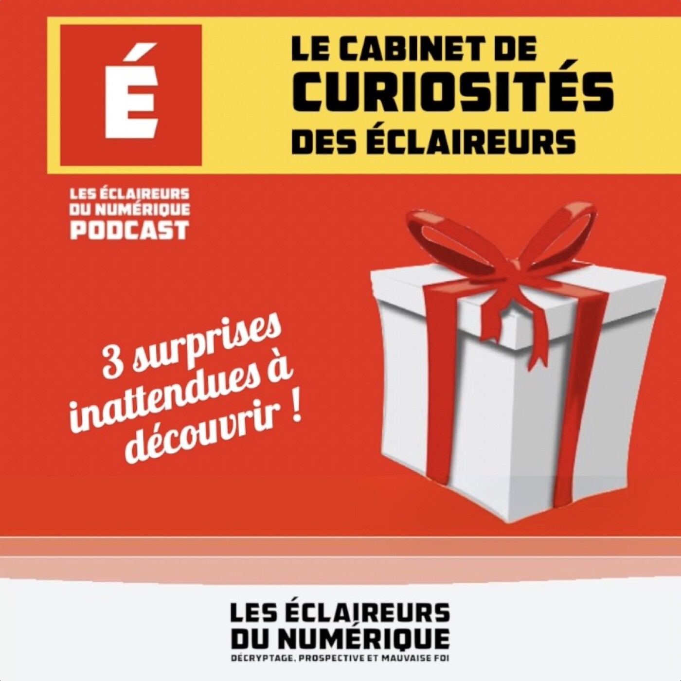 Le cabinet de curiosités des Eclaireurs #1