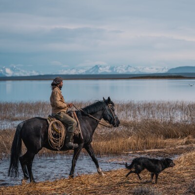 Patagonie : Les chevaux des Gauchos - Mandibule - Episode 3 cover