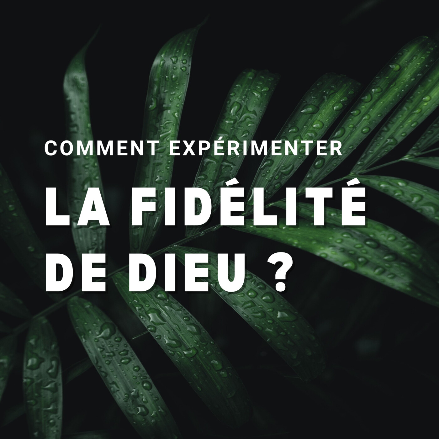 Eglise En Action | Podcast Audio