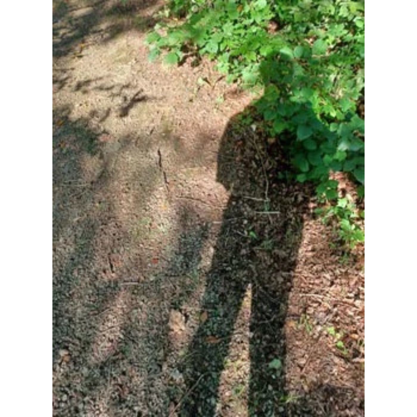 \