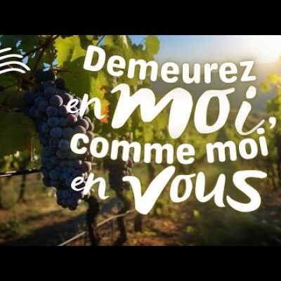 Parole et Évangile du jour | Dimanche 28 avril • Les sarments de la vigne cover