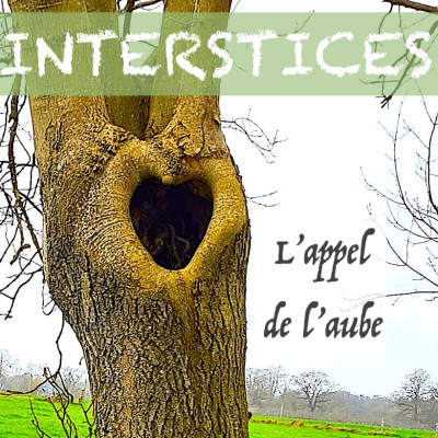 L'appel de l'aube cover