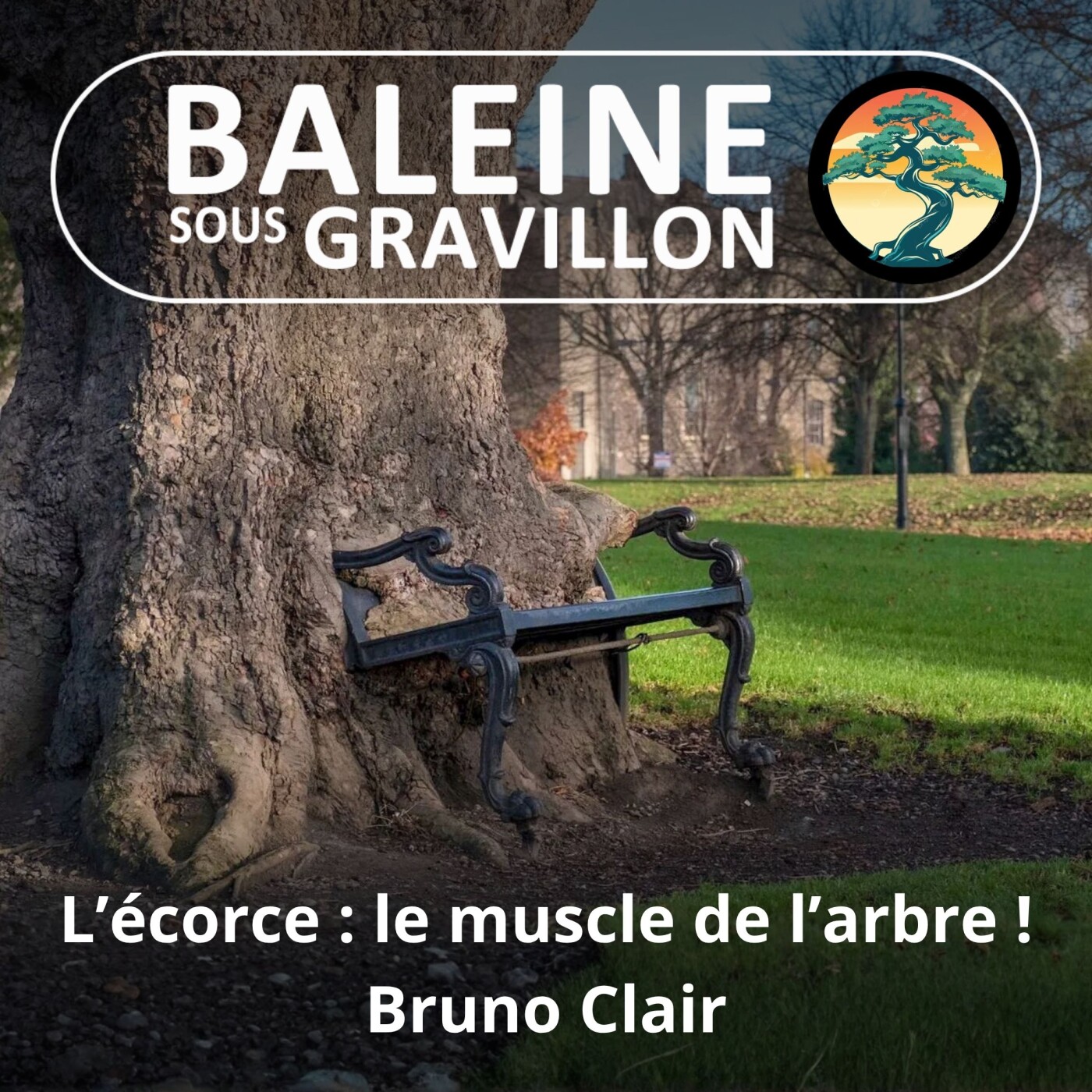S01E13 L'écorce :est aussi le muscle de l'arbre ! (Bruno Clair) episode artwork