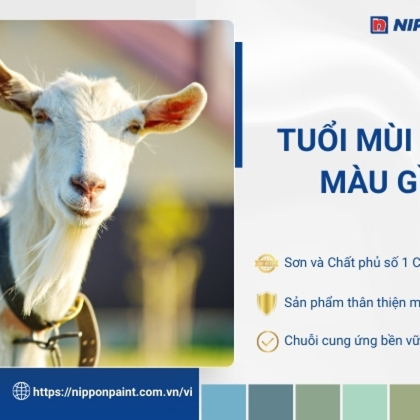 tuoi mui hop mau gi episode artwork