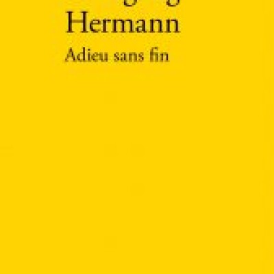 Adieu sans fin cover