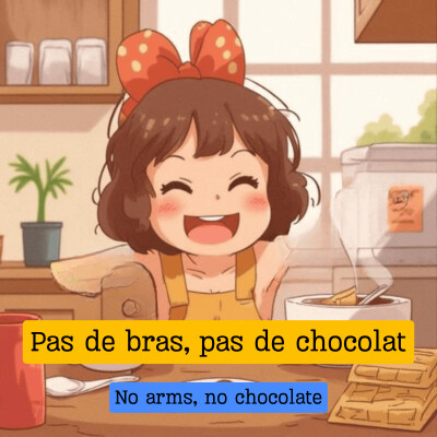 Expression française : "Pas de bras, pas de chocolat" cover