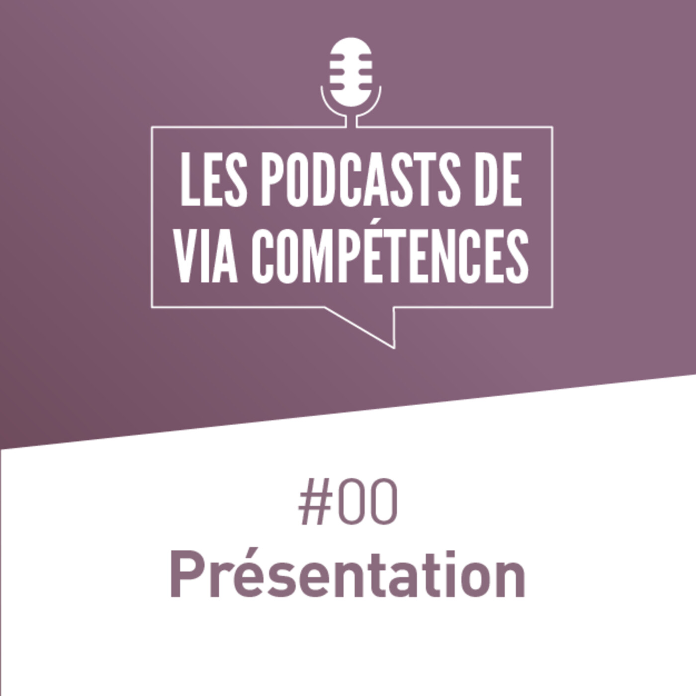 Lampe de Poche par Via Compétences
