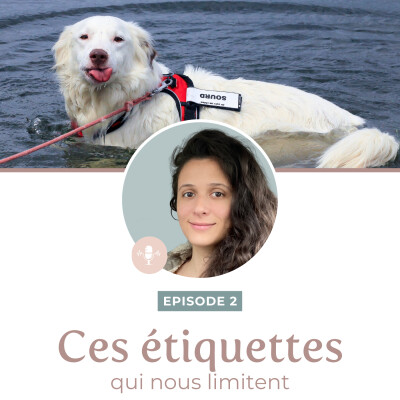 Episode 2 - Ces étiquettes qui nous limitent cover