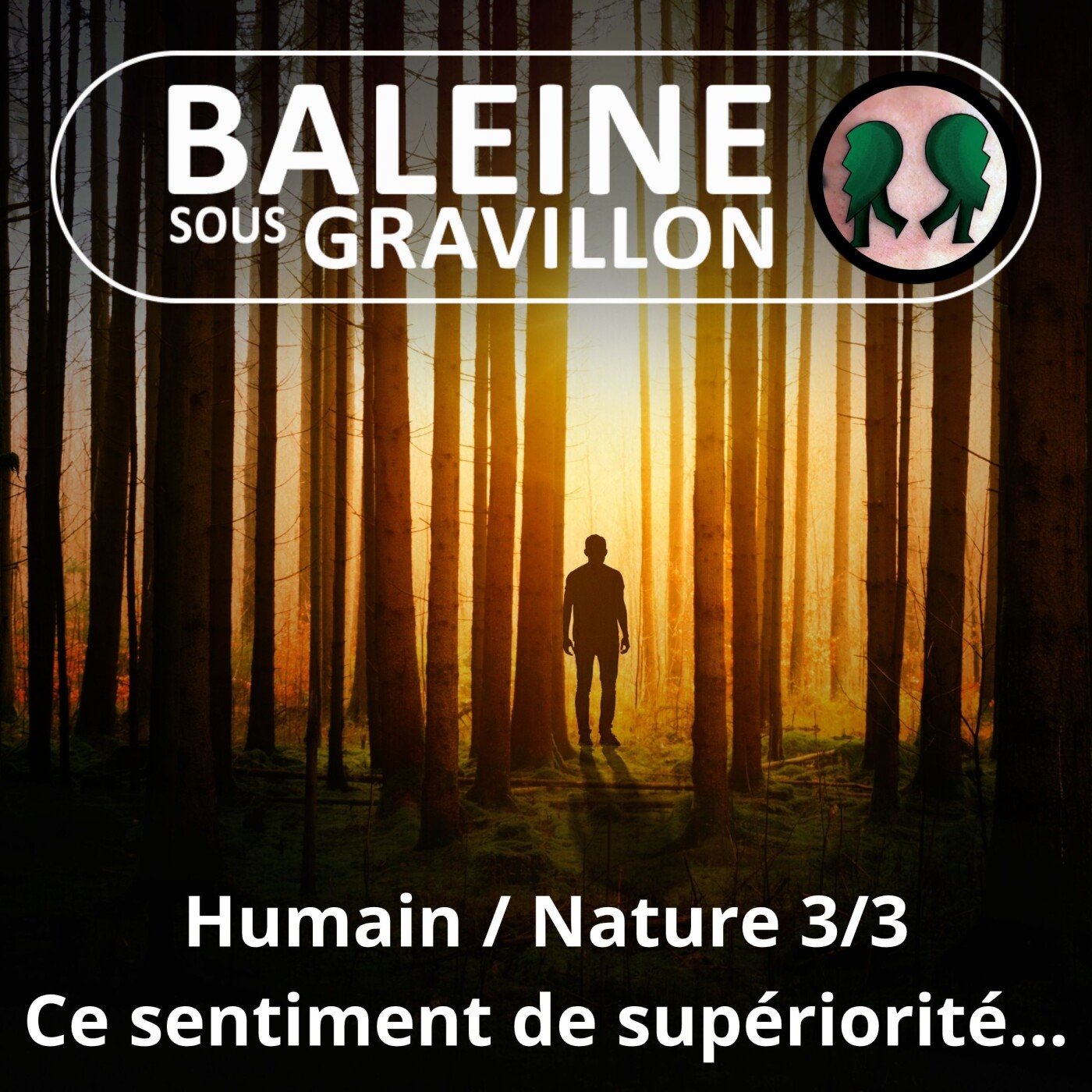 S02E11 Et l'Humain divorça de la Nature... 3/3 : Un tenace sentiment de supériorité (Gilles Vervisch, philosophe) episode artwork