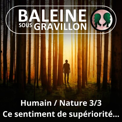 S02E11 Et l'Humain divorça de la Nature... 3/3 : Un tenace sentiment de supériorité (Gilles Vervisch, philosophe) cover