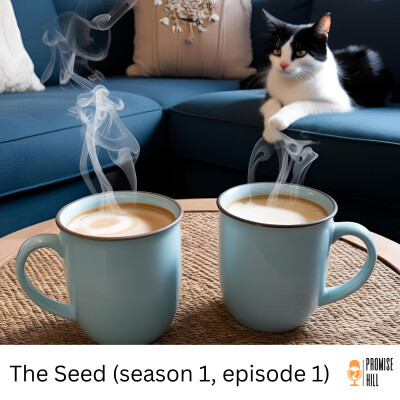 The Seed cover
