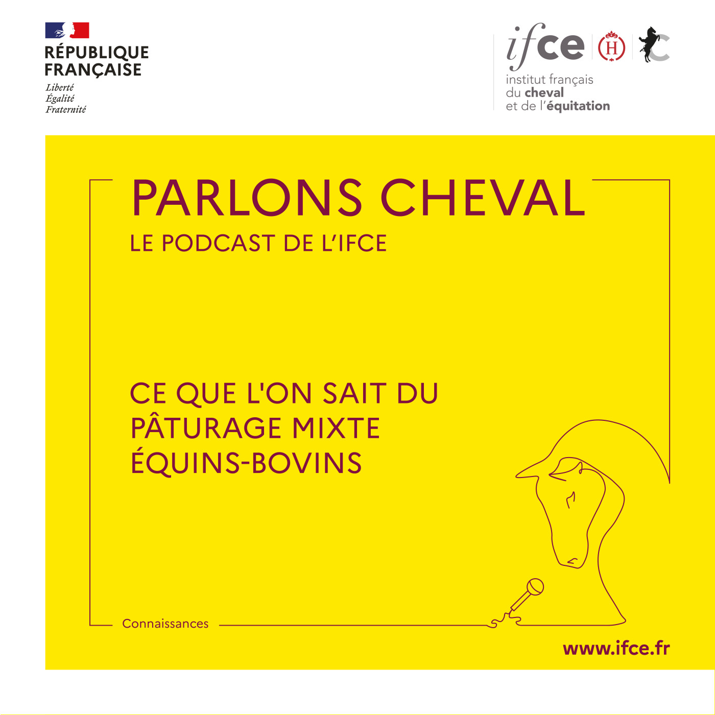 Ép. 28 | Ce que l'on sait du pâturage mixte équins-bovins - Laurie Briot