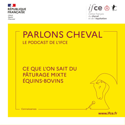 Ép. 28 | Ce que l'on sait du pâturage mixte équins-bovins - Laurie Briot cover