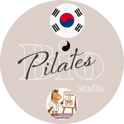 🇰🇷 🐎  어깨뼈: 안정성과 움직임의 조화 - Les omoplates chez Stott Pilates cover