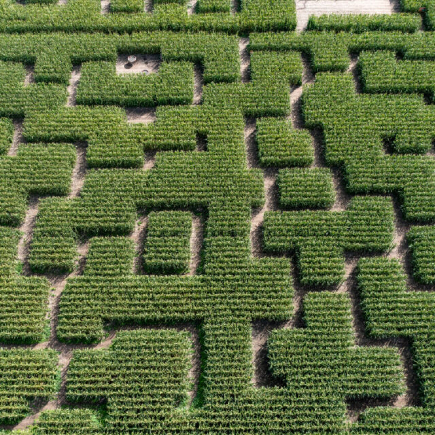 Trouverez-vous la sortie de ce labyrinthe ?
