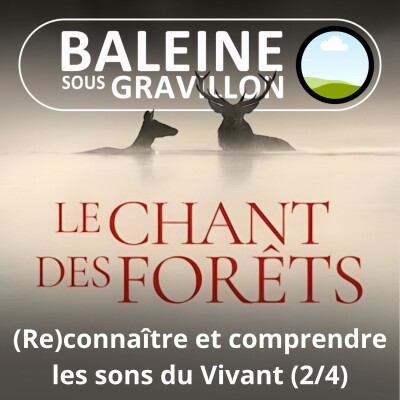 Le Chant des forêts 2/4 : (Re)connaître et comprendre les sons du Vivant (Marc Namblard) cover